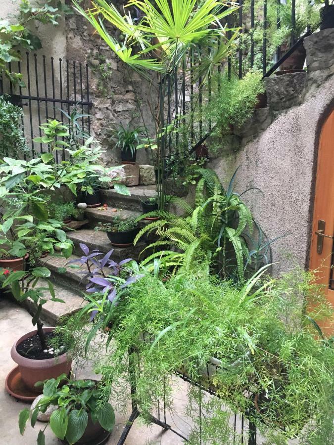 Apartment Filipas Cres